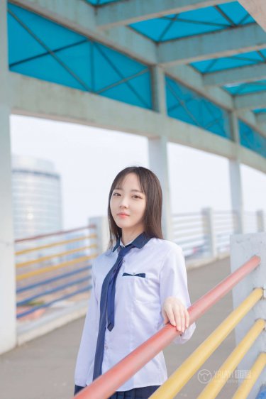 《龙骑士2电影》