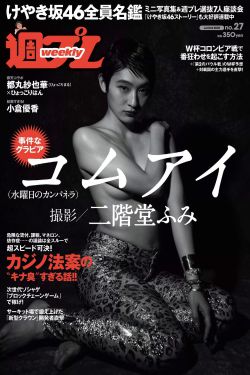 木府风云电视剧免费观看全集